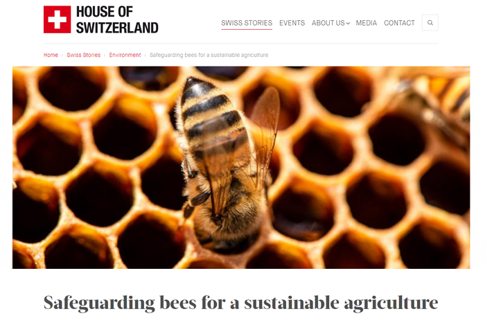 Safeguarding bees for a sustainable agriculture