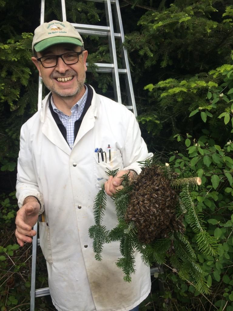 Vatorex co-founder Willi Brunner with a freshly collected bee swarm.