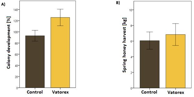 Figure 2: A) Population development in colonies with the Vatorex-system and in control colonies depending on their initial strength. Until the end of July, the Vatorex-treated colonies developed significantly better than the untreated control colonies. B) Honey harvest in colonies with the Vatorex system and in control colonies.
