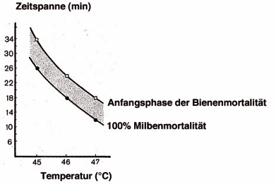 Abbildung 1: Zusammenhang zwischen Temperatur und Dauer der Wärmebehandlung für die 100% Milbenmortalität und die Anfangsphase der Bienenmortalität. Im grau kolorierten Bereich werden alle Milben abgetötet, die Bienen jedoch überleben unbeschadet.