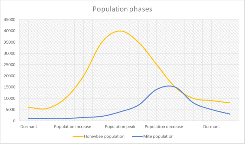 Typical population development of a honeybee colony. The mite population will peak after the honeybee population peak. Size of the colony can vary.